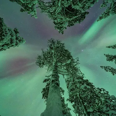 Apartmán Yllaestoelli 2 D, Aekaeslompolo Kolari