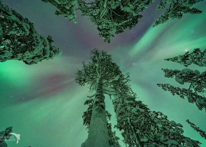 아파트 Yllaestoelli 2 D, Aekaeslompolo 콜라리