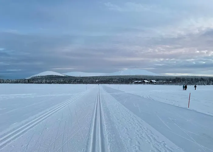 Yllaestoelli 2 D, Aekaeslompolo 콜라리